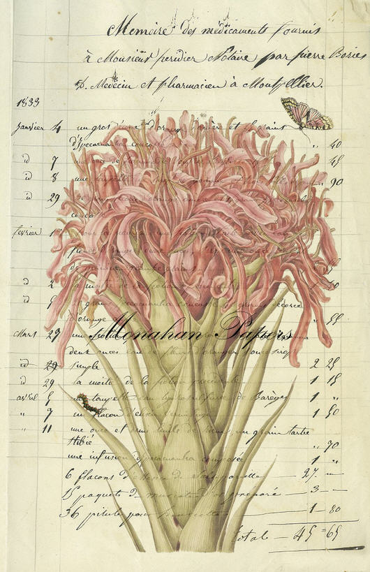 Decoupage Paper - Monahan Papers- BOT0037 - Pink - 11X17