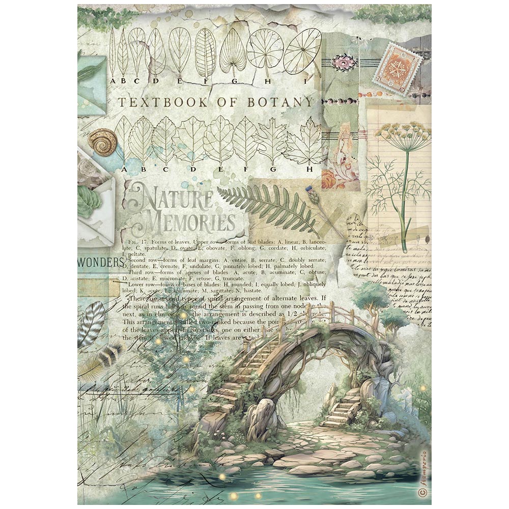 Decoupage Paper - Stamperia - A4 - DFSA41079-Herbarium Silvae-Bridge-Rice Paper