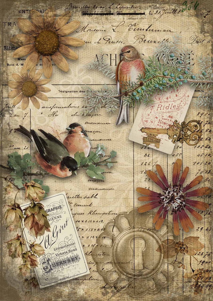 Decoupage Paper - DQ - DQRP0148 - Autumn Birds - Rice Paper