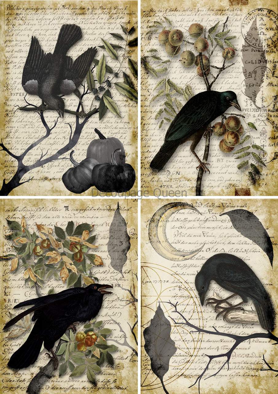 Decoupage Paper - DQ - DQRP0627 - Raven Grimoire 4 Pack - Rice Paper