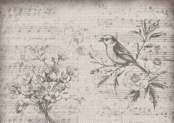 Decoupage Paper - DQ - DQRP0864 - Iveta Ziedina -Burlap - Rice Paper