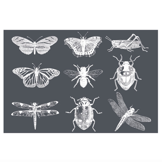 Stencils - A Makers Studio - Garden Insects  - 12" x 18"