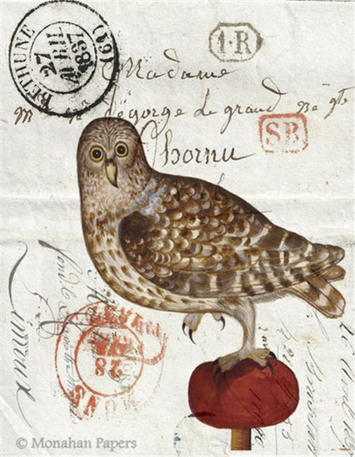 Decoupage Paper - Monahan Papers- H0018 - Owl on a RedTuft - 11X17