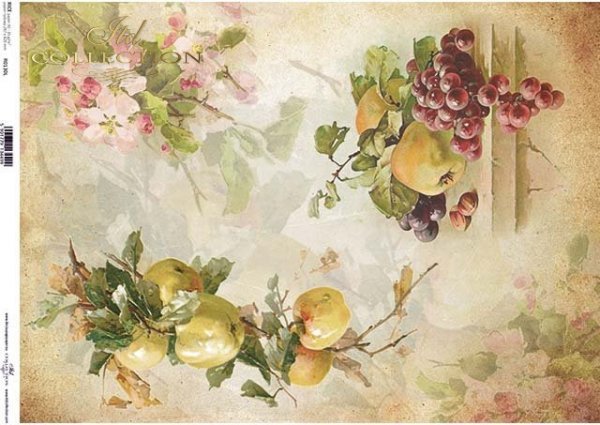 Decoupage Paper - ITD - A3 - R0130 - Fruit-Apples, Grapes - Rice Paper