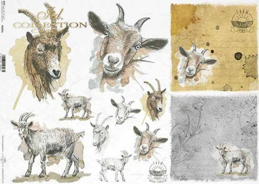 Decoupage Paper - ITD - A3 - R0405 - Goats- Rice Paper