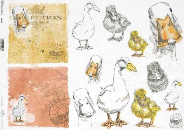Decoupage Paper - ITD - A3 - R0420 - Ducks - Rice Paper