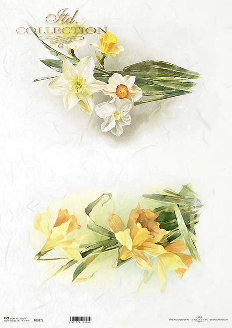 Decoupage Paper - ITD - A3 - R0817 - Spring Daffodils - Rice Paper