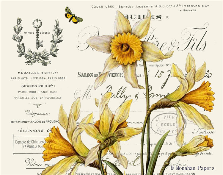 Decoupage Paper - Monahan Papers- X0385 Yellow Daffodils - 11x17