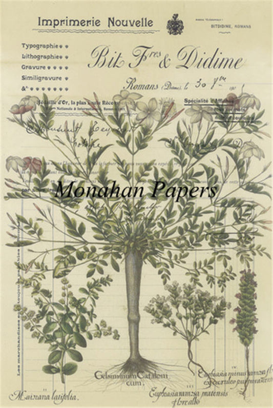 Decoupage Paper - Monahan Papers- BOT0014 - Imprimerie - 11X17