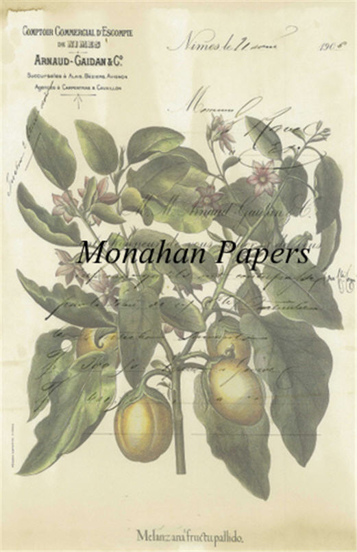 Decoupage Paper - Monahan Papers- BOT0025 - Comptor - 11X17