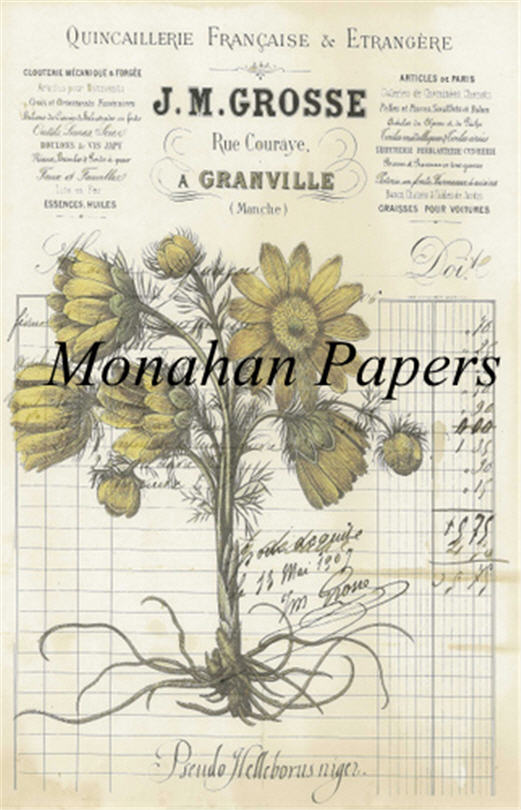 Decoupage Paper - Monahan Papers- BOT0026 - Quincaillerie - 11X17