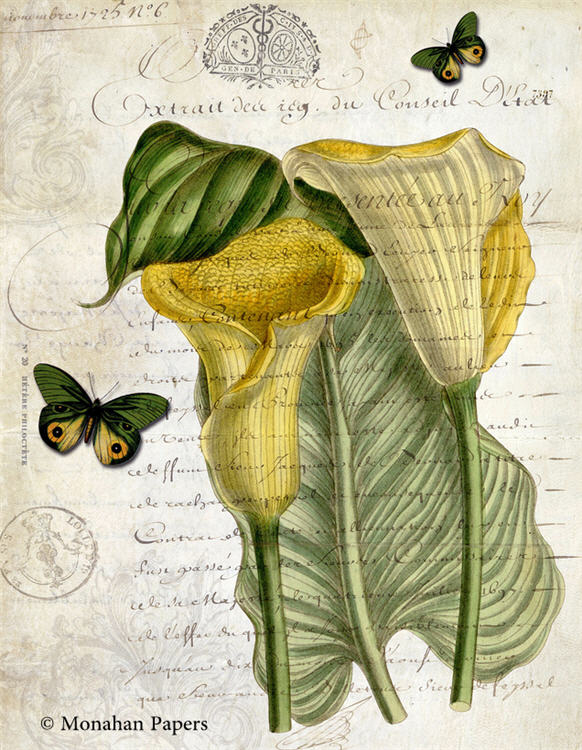 Decoupage Paper - Monahan Papers- BOT0077 - 11X17