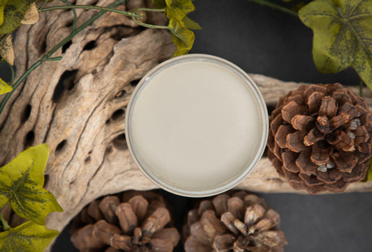 Dixie Belle - Chalk Mineral Paint - Dried Sage