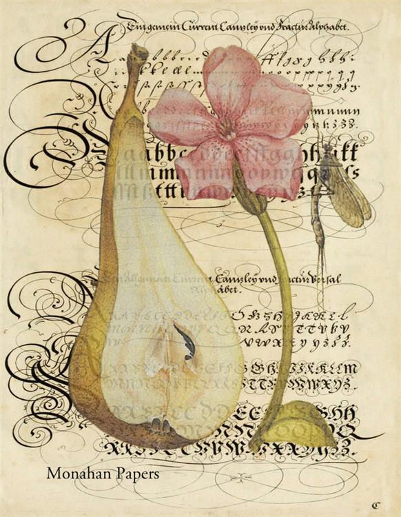 Decoupage Paper - Monahan Papers- X0333 Pear - 11x17