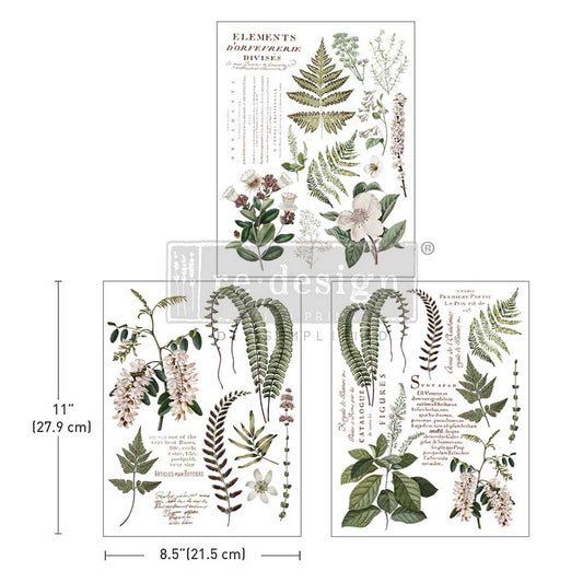 Transfers - Redesign - Middy 8.5" x 11" - Greenery Grace