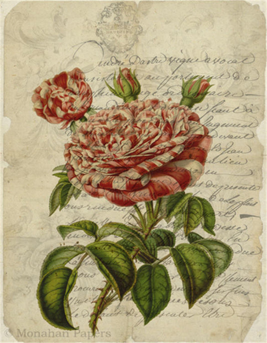 Decoupage Paper - Monahan Papers- BOT0080 - 11X17