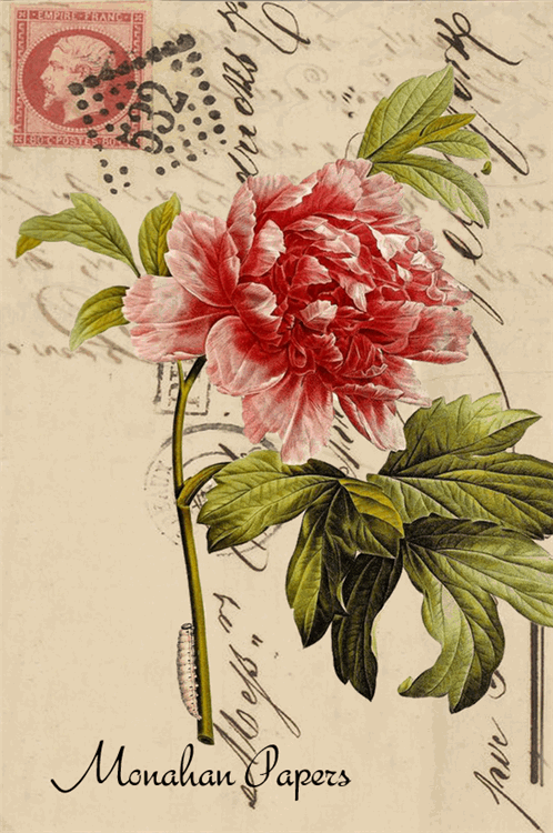 Decoupage Paper - Monahan Papers- BOT0043 - Peony - 11X17