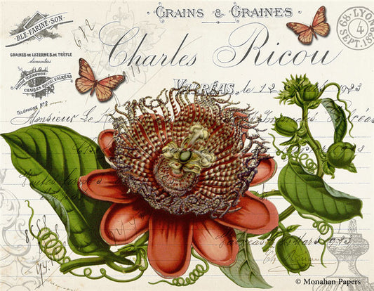 Decoupage Paper - Monahan Papers- BOT0075 - 11X17