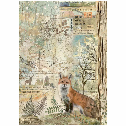 Decoupage Paper - Stamperia - A4 - DFSA4951- Forest Fox - Rice Paper