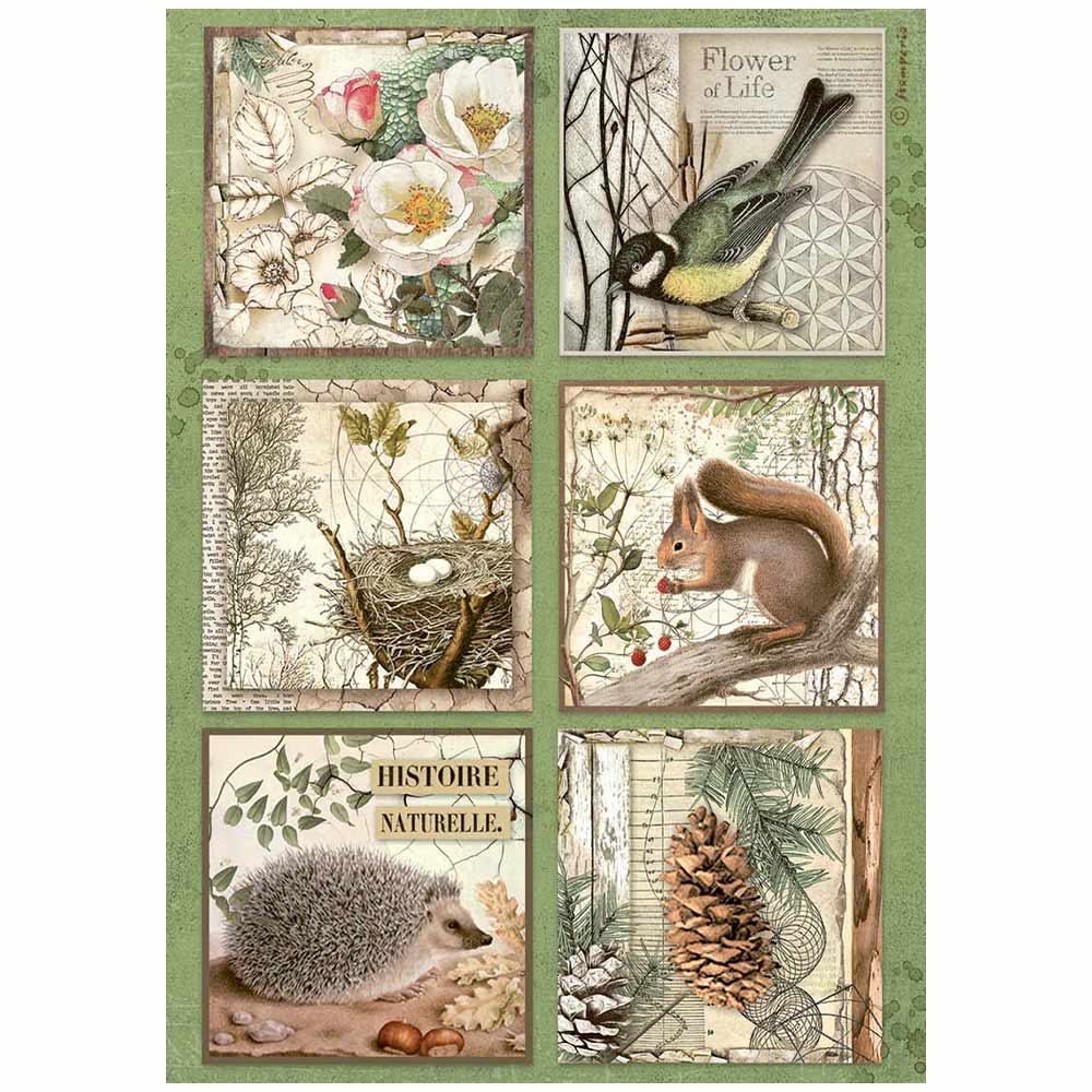 Decoupage Paper - Stamperia - A4 - DFSA4952- Forest 6 cards - Rice Paper