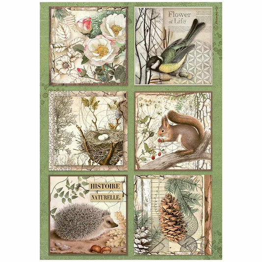 Decoupage Paper - Stamperia - A4 - DFSA4952- Forest 6 cards - Rice Paper