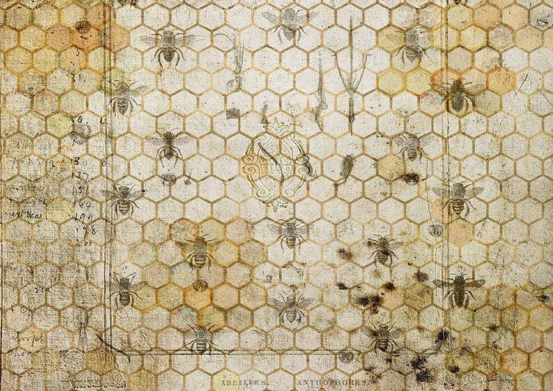 Decoupage Paper - DQ - DQRP0113 - The Honeycomb  - Rice Paper