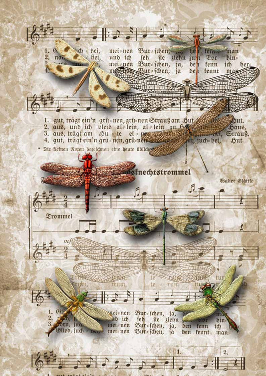 Decoupage Paper - DQ - DQRP0032 - Dragonflies on Sheet Music - Rice Paper