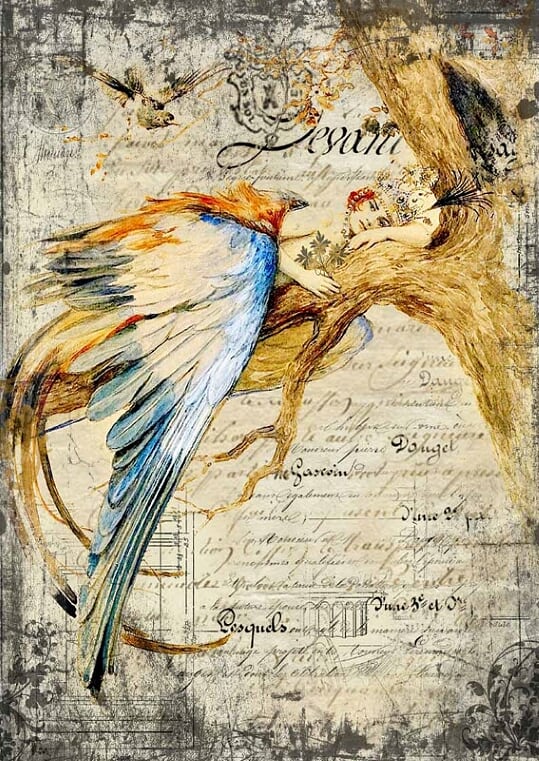 Decoupage Paper - DQ - DQRP0054 - Bluebird Queen - Rice Paper