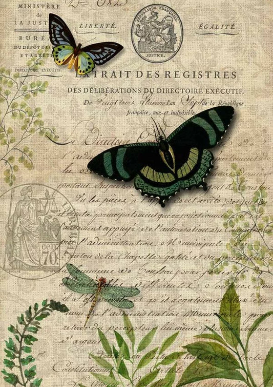 Decoupage Paper - DQ - DQRP0090 - Butterfly Botanical  - Rice Paper