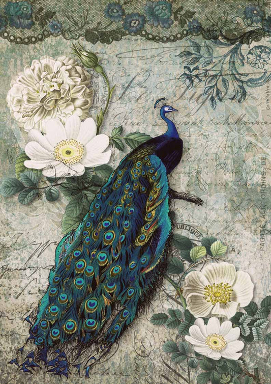 Decoupage Paper - DQ - DQRP0117 - Peacock Majesty  - Rice Paper