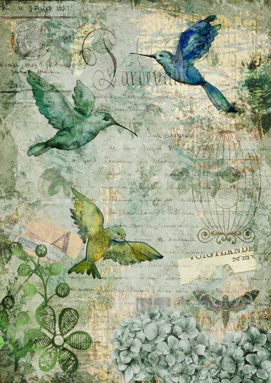 Decoupage Paper - DQ - DQRP0120 - Afternoon Hummingbirds  - Rice Paper