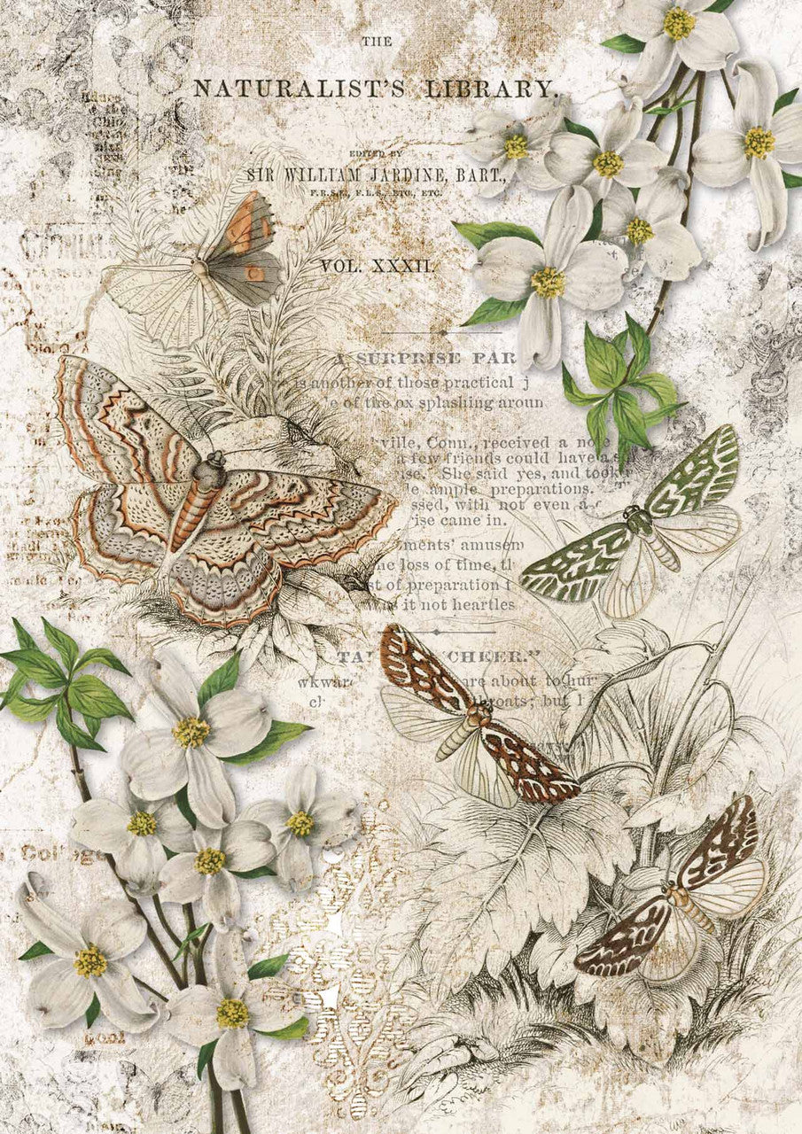 Decoupage Paper - DQ - DQRP0147 - Naturalist Library  - Rice Paper