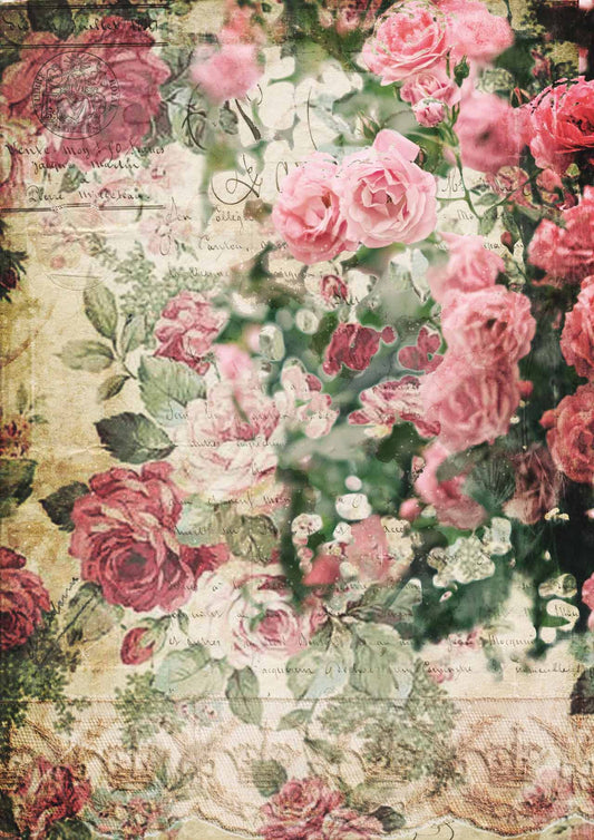 Decoupage Paper - DQ - DQRP0239 -Splash of Roses  - Rice Paper