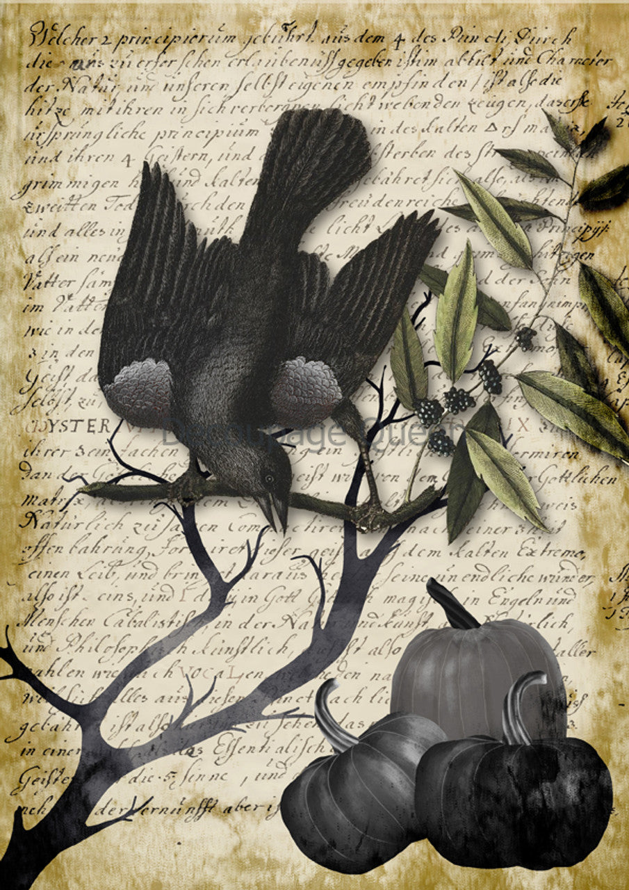 Decoupage Paper - DQ - DQRP0623 - Raven Grimoire I - Rice Paper