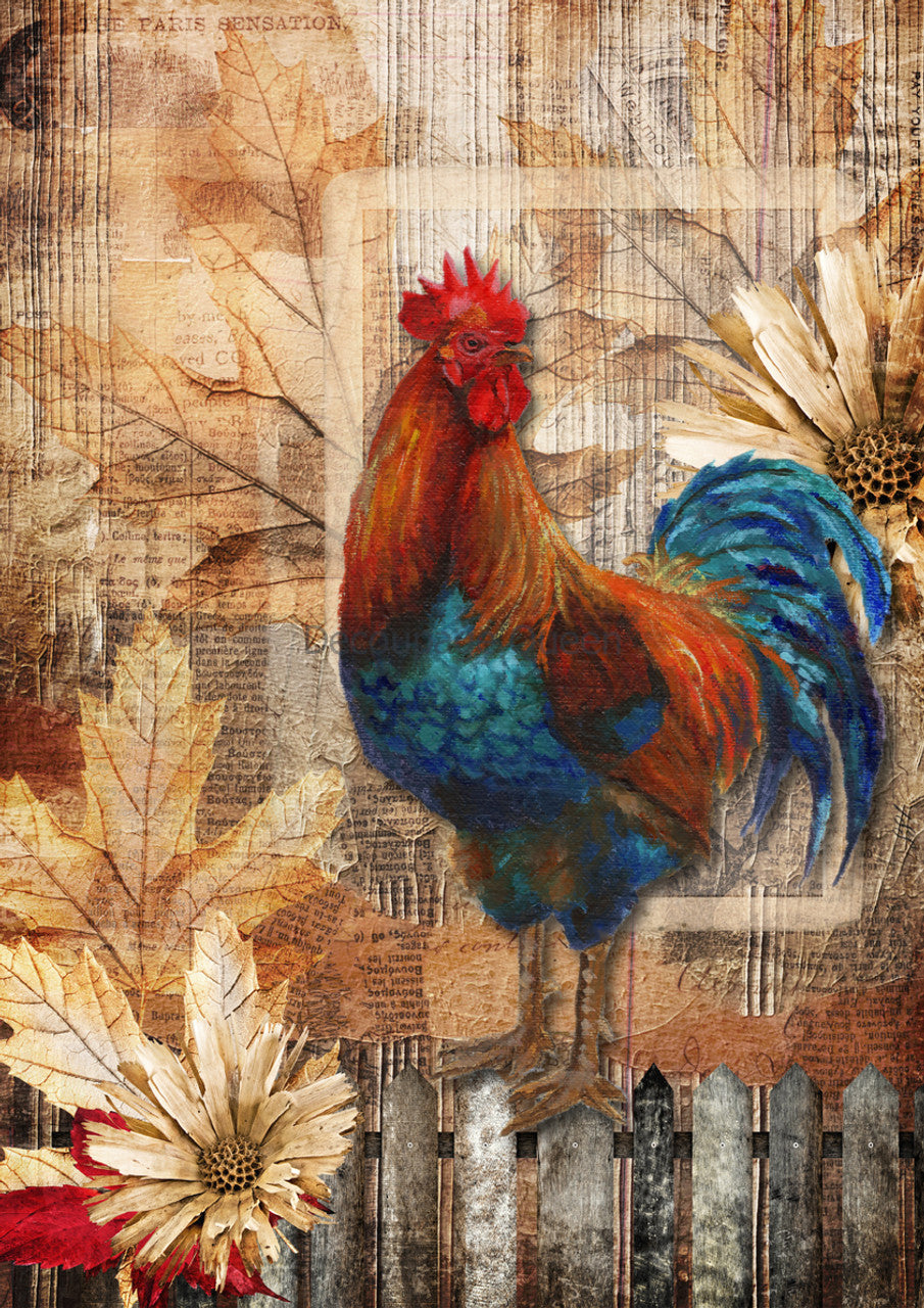 Decoupage Paper - DQ - DQRP0631 - Country Rooster - Rice Paper