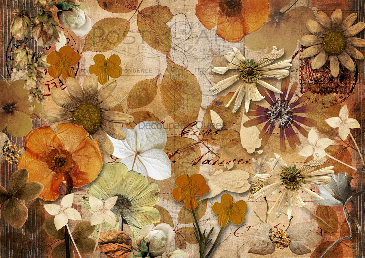 Decoupage Paper - DQ - DQRP0636 - Pressed Autumn Flowers - Rice Paper