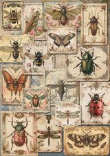 Decoupage Paper - DQ - DQRP0860 - Insects - Rice Paper