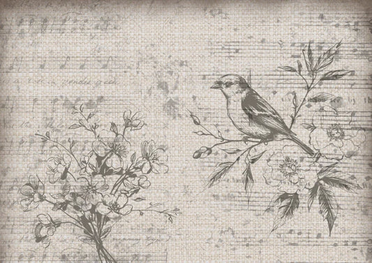 Decoupage Paper - DQ - DQRP0864 - Iveta Ziedina -Burlap - Rice Paper