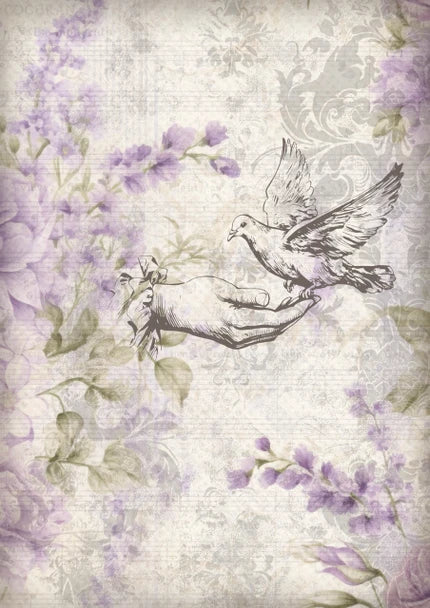 Decoupage Paper - DQ - DQRP0865 - Iveta Ziedina -Dove - Rice Paper