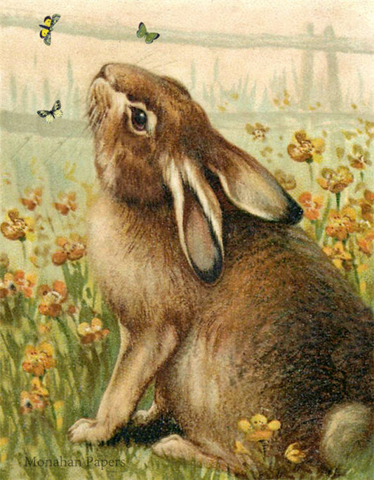 Decoupage Paper - Monahan Papers- E0084 - Bunny & Butterflies - 11X17