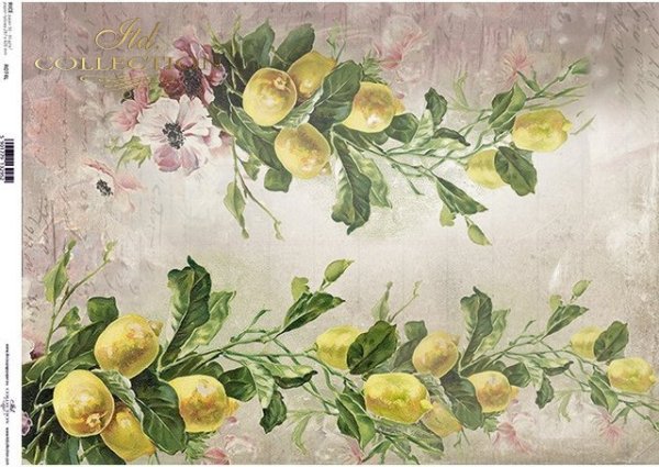 Decoupage Paper - ITD - A3 - R0074 - Lemons  - Rice Paper