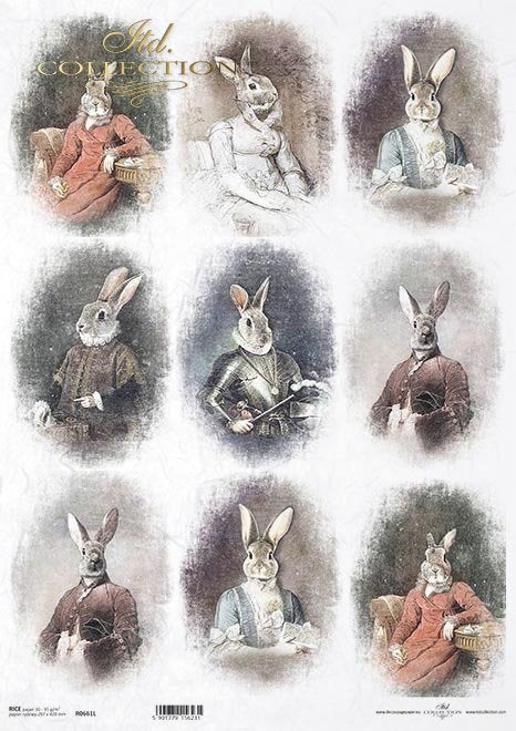 Decoupage Paper - ITD - A3 - R0661 - Bunny Costume Set of 9 - Rice Paper