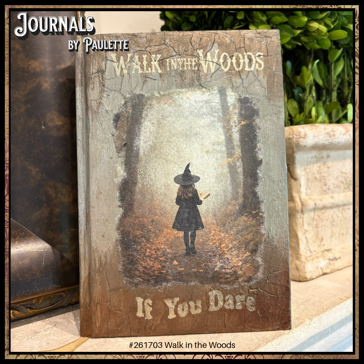 Journals-by Paulette-261703 Walk in the Woods
