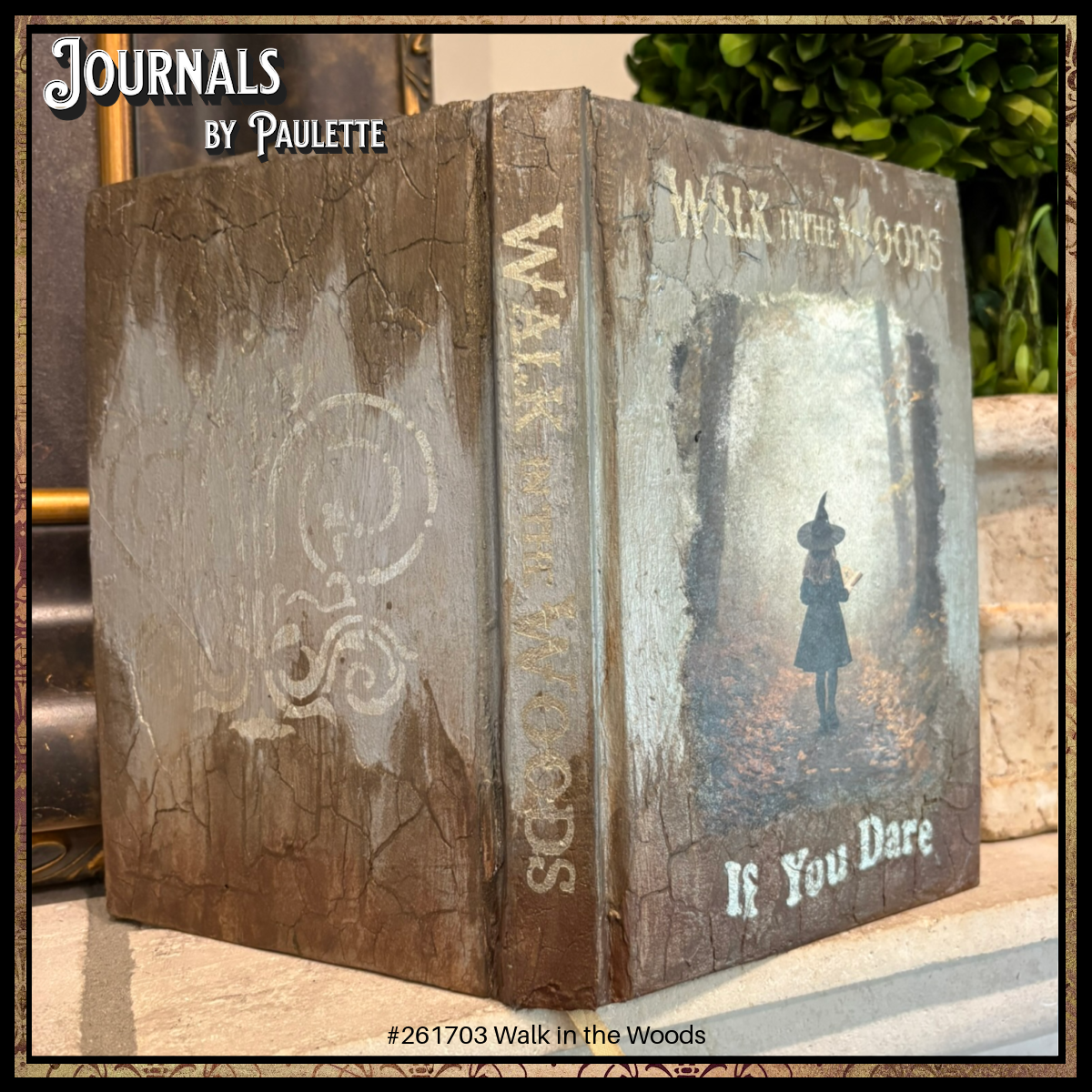 Journals-by Paulette-261703 Walk in the Woods