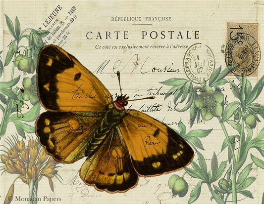 Decoupage Paper - Monahan Papers- SPS1435 Orange Butterfly - 11x17