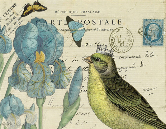 Decoupage Paper - Monahan Papers- SPS0989 Yellow Bird with Blue Iris - 11x17