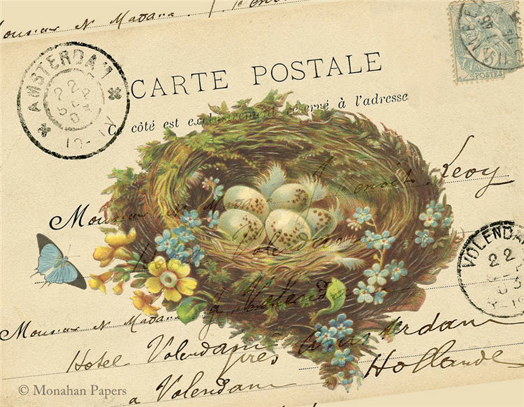 Decoupage Paper - Monahan Papers- X0185 The Nest and Eggs - 11x17