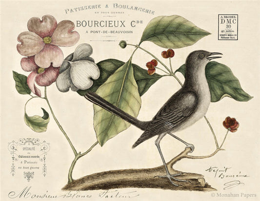 Decoupage Paper - Monahan Papers- X0422 L'oiseau Maquette - 11x17