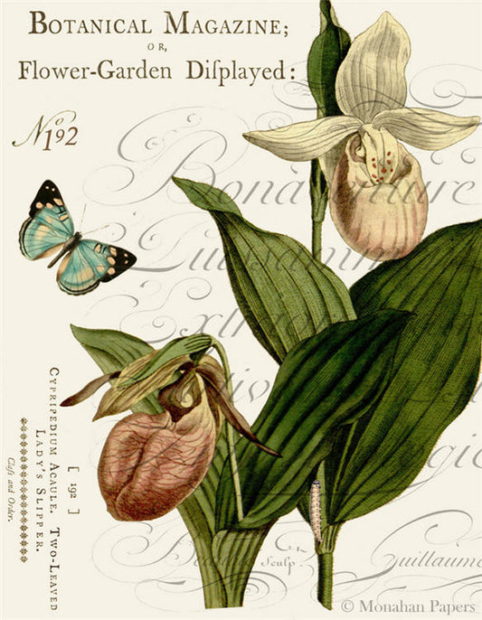 Decoupage Paper - Monahan Papers- X0474 Lady's Slipper & Butterfly - 11x17