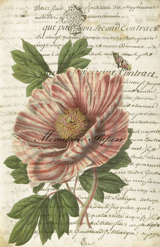 Decoupage Paper - Monahan Papers- BOT0033 - Stripe Peony - 11X17